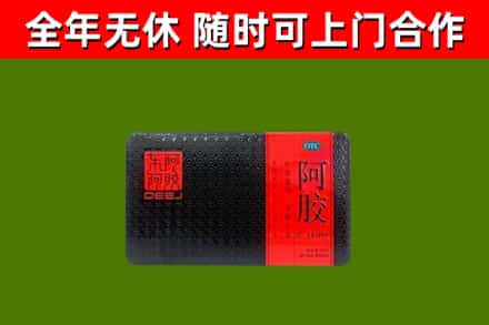 修武回收阿胶