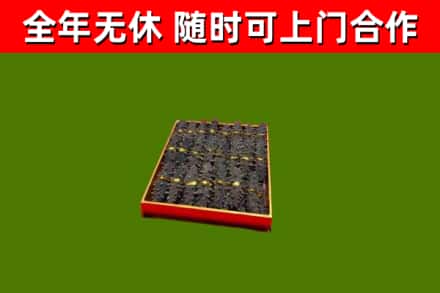 修武回收海参